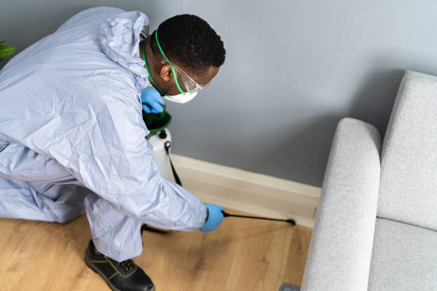 Real Estate Pest Inspections in Bull Valley, IL